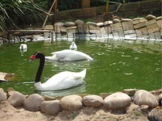 Passeio a Quinta da Estância 