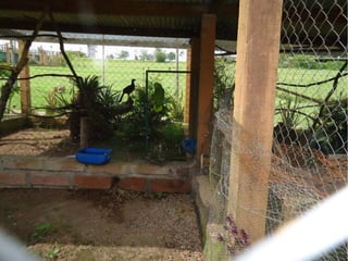 Passeio a Quinta da Estância 