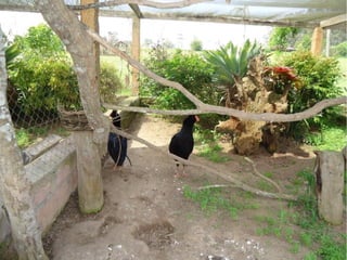 Passeio a Quinta da Estância 