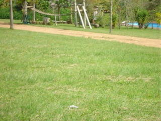Passeio a Quinta da Estância 