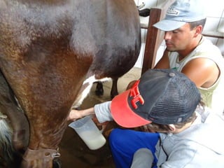 Passeio a Quinta da Estância 
