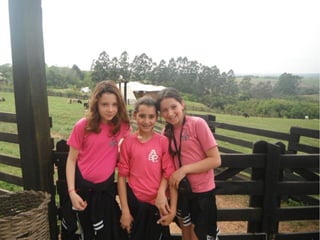 Passeio a Quinta da Estância 