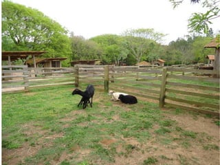 Passeio a Quinta da Estância 