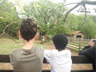 Passeio a Quinta da Estância 