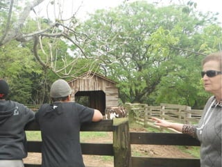 Passeio a Quinta da Estância 