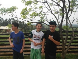 Passeio a Quinta da Estância 