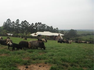 Passeio a Quinta da Estância 
