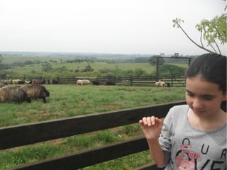 Passeio a Quinta da Estância 