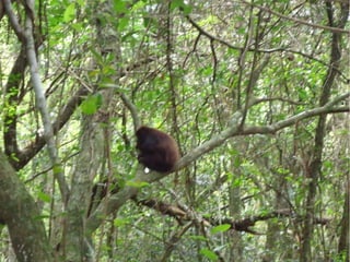 Passeio a Quinta da Estância 