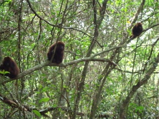 Passeio a Quinta da Estância 