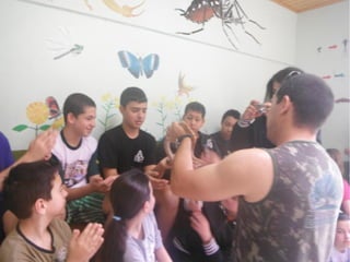 Passeio a Quinta da Estância 