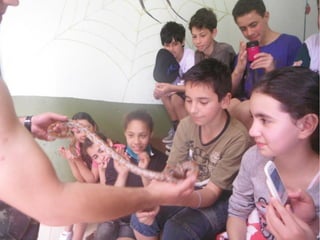 Passeio a Quinta da Estância 