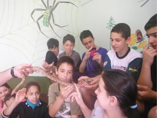 Passeio a Quinta da Estância 