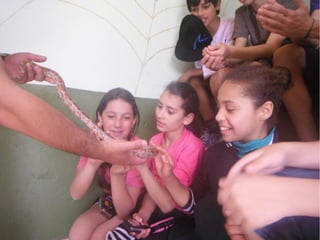 Passeio a Quinta da Estância 