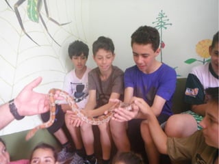 Passeio a Quinta da Estância 