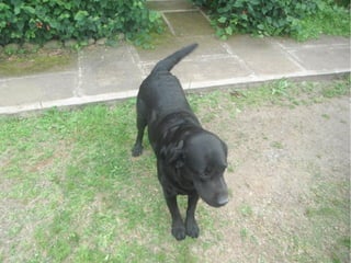 Passeio a Quinta da Estância 