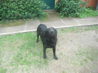 Passeio a Quinta da Estância 