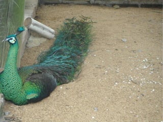 Passeio a Quinta da Estância 