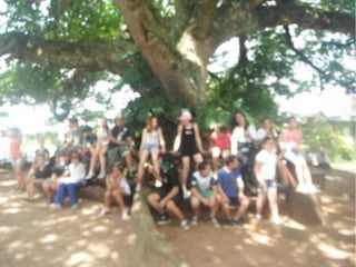 Passeio a Quinta da Estância 