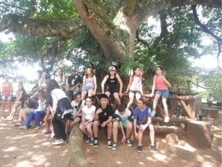 Passeio a Quinta da Estância 