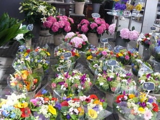 Passejant per amsterdam2