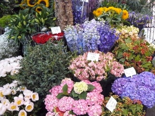 Passejant per amsterdam2