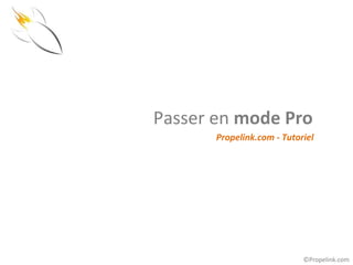 Passer en mode Pro
       Propelink.com - Tutoriel




                            ©Propelink.com
 