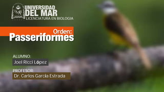 Orden:
LICENCIATURA EN BIOLOGIA
Joel Ricci López
ALUMNO:
PROFESOR:
Dr. Carlos García Estrada
Passeriformes
 