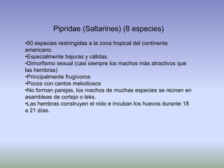 Pipridae (Saltarines) (8 especies)
•60 especies restringidas a la zona tropical del continente
americano.
•Especialmente bajuras y cálidas.
•Dimorfismo sexual (casi siempre los machos más atractivos que
las hembras)
•Principalmente frugívoros
•Pocos con cantos melodiosos
•No forman parejas, los machos de muchas especies se reúnen en
asambleas de cortejo o leks.
•Las hembras construyen el nido e incuban los huevos durante 18
a 21 días.
 