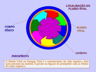 LOCALIZAÇÃO DO FLUIDO VITAL  ESPÍRITO PERISPÍRITO CORPO FÍSICO FLUIDO VITAL 