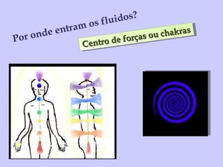 Centro de forças ou chakras Por onde entram os fluidos? 