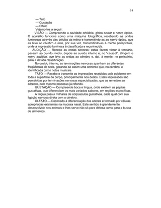 14
— Tato
— Gustação
— Olfato
Vejamo-los a seguir:
VISÃO — Compreende a cavidade orbitária, globo ocular e nervo óptico.
O aparelho funciona como uma máquina fotográfica, recebendo as ondas
luminosas através das células da retina e transmitindo-as ao nervo óptico, que
as leva ao cérebro e este, por sua vez, transmitindo-as à mente perispiritual,
onde a impressão luminosa é classificada e reconhecida.
AUDIÇÃO — Recebe as ondas sonoras; estas fazem vibrar o tímpano,
passam ao ouvido médio, depois ao ouvido interno e, no “caracol”, atingem o
nervo auditivo, que leva as ondas ao cérebro e, daí, à mente, no perispírito,
para a devida classificação.
No ouvido interno, as terminações nervosas apanham as diferentes
freqüências de sons, gerando-se assim uma corrente que, no cérebro, é
identificada como notas musicais.
TATO — Recebe e transmite as impressões recebidas pela epiderme em
toda a superfície do corpo, principalmente nos dedos. Estas impressões são
percebidas por terminações nervosas especializadas, que as remetem ao
cérebro, pelo mesmo processo já referido.
GUSTAÇÃO — Compreende boca e língua, onde existem as papilas
gustativas, que diferenciam os mais variados sabores, em regiões específicas.
A língua possui milhares de corpúsculos gustativos, cada qual com sua
ligação nervosa direta com o cérebro.
OLFATO — Destinado à diferenciação dos odores e formado por células
apropriadas existentes na mucosa nasal. Este sentido é grandemente
desenvolvido nos animais e lhes serve não só para defesa como para a busca
de alimentos.
 