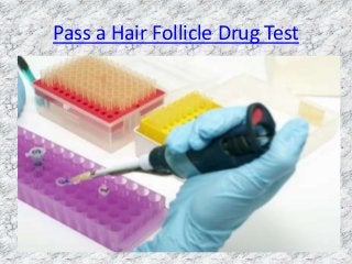 Pass a Hair Follicle Drug Test
 