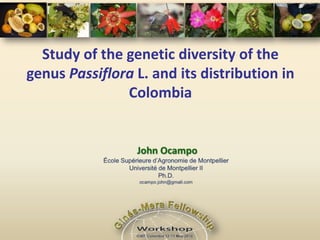 Study of the genetic diversity of the genus Passiflora L. and its distribution in Colombia John Ocampo École Supérieure d’Agronomie de Montpellier Université de Montpellier II Ph.D. ocampo.john@gmail.com 