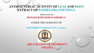 ANTIBACTERIAL ACTIVITY OF LEAF AND ROOT
EXTRACT OF PASSIFLORA FOETIDA L
PRESENTED BY:
DINTAKURTHI MOHAN KRISHNA*
UNDER THE GUIDANCE OF
RAVINDRAN SARAVANAN M. PHARM
QIS COLLEGE OF PHARMACY
ONGOLE
 