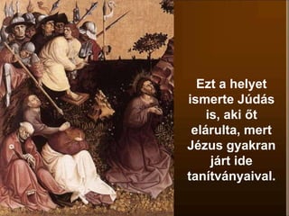 Ezt a helyet
ismerte Júdás
is, aki őt
elárulta, mert
Jézus gyakran
járt ide
tanítványaival.
 