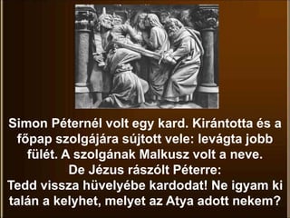 Simon Péternél volt egy kard. Kirántotta és a
főpap szolgájára sújtott vele: levágta jobb
fülét. A szolgának Malkusz volt a neve.
De Jézus rászólt Péterre:
Tedd vissza hüvelyébe kardodat! Ne igyam ki
talán a kelyhet, melyet az Atya adott nekem?
 