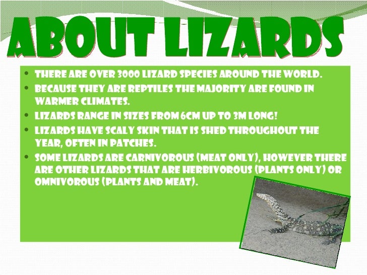 Passion Project Reptile Power Point