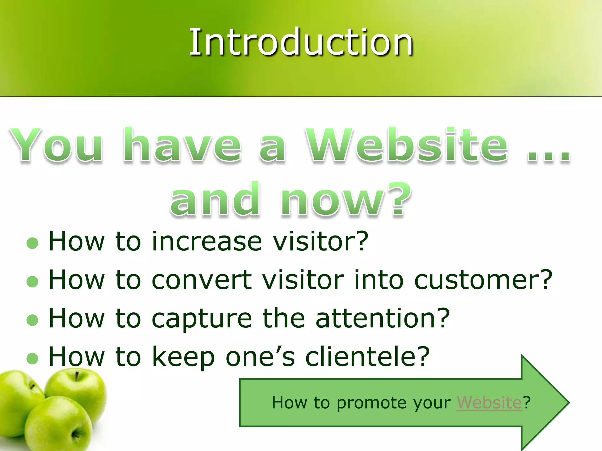 IntroductionYou have a Website ...and now?How to increase visitor?How to convert visitor into customer?How to capture the attention?How to keep one’s clientele?
