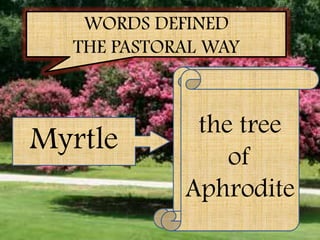 WORDS DEFINED
  THE PASTORAL WAY

             a bush with
               the tree
            shiny leaves,
Myrtle      pink or white
                   of
             flowers and
            Aphrodite
            bluish-black
                berries
 
