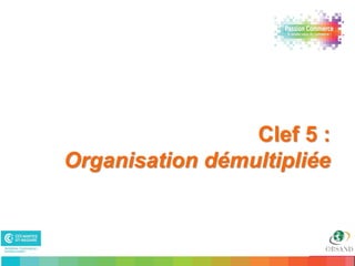 Clef 5 :
     Organisation démultipliée



29                           29
 