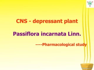 CNS - depressant plant
Passiflora incarnata Linn.
----Pharmacological study
 
