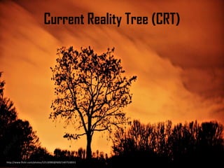 Current Reality Tree (CRT)
http://www.flickr.com/photos/52518980@N00/1407558031
 