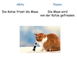 Aktiv 
Die Katze frisst die Maus. 
Passiv 
Die Maus wird 
von der Katze gefressen. 
 