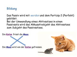 Bildung 
Das Passiv wird mit werden und dem Partizip 2 (Perfekt) 
gebildet. 
Bei der Umwandlung eines Aktivsatzes in einen 
Passivsatz wird das Akkusativobjekt des Aktivsatzes 
zum Subjekt des Passivsatzes. 
Die Katze frisst die Maus. 
Die Maus wird von der Katze gefressen. 
 