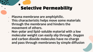 Selective Permeability
o Plasma membrane are amphiphilic.
o This characteristic helps move some materials
through the membrane and hinders the
movement of others.
o Non-polar and lipid-soluble material with a low
molecular weight can easily slip through. Oxygen
and carbon dioxide molecules have no charge
and pass through membranes by simple diffusion
 