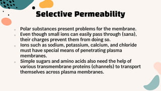 Selective Permeability
o Polar substances present problems for the membrane.
o Even though small ions can easily pass through (sana),
their charges prevent them from doing so.
o Ions such as sodium, potassium, calcium, and chloride
must have special means of penetrating plasma
membranes.
o Simple sugars and amino acids also need the help of
various transmembrane proteins (channels) to transport
themselves across plasma membranes.
 