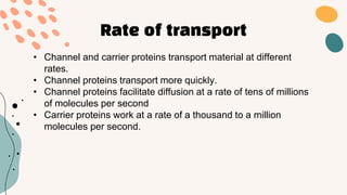 Rate of transport
• Channel and carrier proteins transport material at different
rates.
• Channel proteins transport more quickly.
• Channel proteins facilitate diffusion at a rate of tens of millions
of molecules per second
• Carrier proteins work at a rate of a thousand to a million
molecules per second.
 
