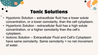 Tonic Solutions
• Hypotonic Solution – extracellular fluid has a lower solute
concentration, or a lower osmolarity, than the cell cytoplasm.
• Hypertonic Solution - extracellular fluid has a high solute
concentration, or a higher osmolarity than the cell’s
cytoplasm.
• Isotonic Solution – Extracellular Fluid and Cell’s Cytoplasm
have same osmolarity. Same osmolarity = no net movement
of water.
 