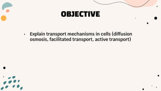 OBJECTIVE
• Explain transport mechanisms in cells (diffusion
osmosis, facilitated transport, active transport)
 
